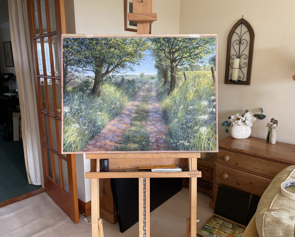 Dappled Shadow through&nbsp;Meadows